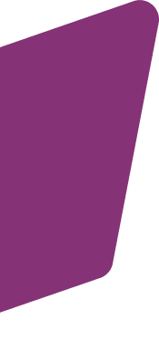 Plum vector